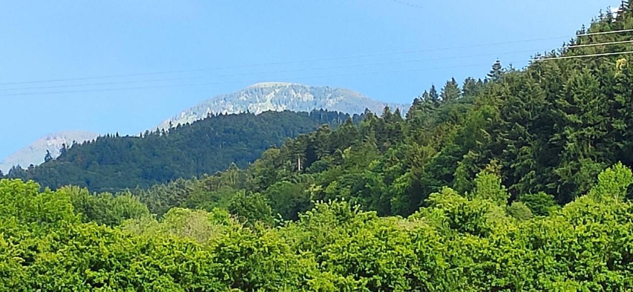 Ferienwohnung Belchenblick Staufen im Breisgau Exterior photo