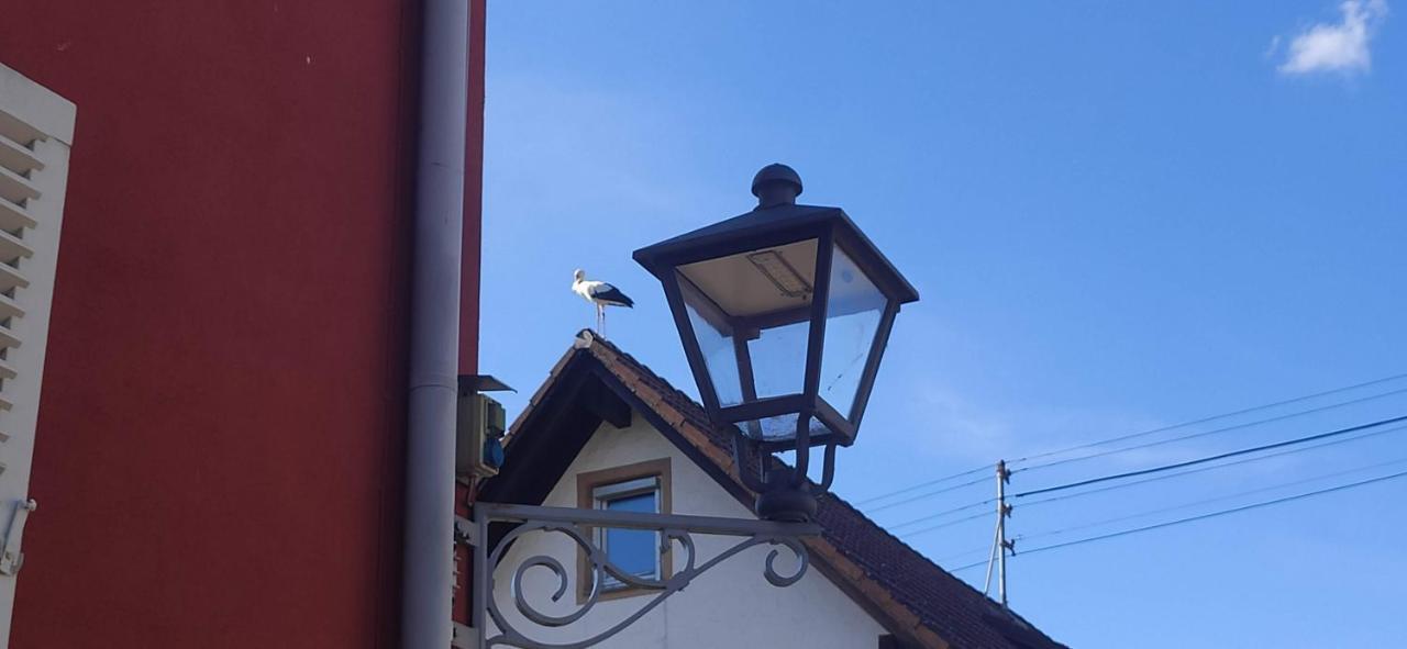 Ferienwohnung Belchenblick Staufen im Breisgau Exterior photo
