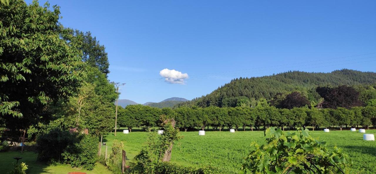 Ferienwohnung Belchenblick Staufen im Breisgau Exterior photo